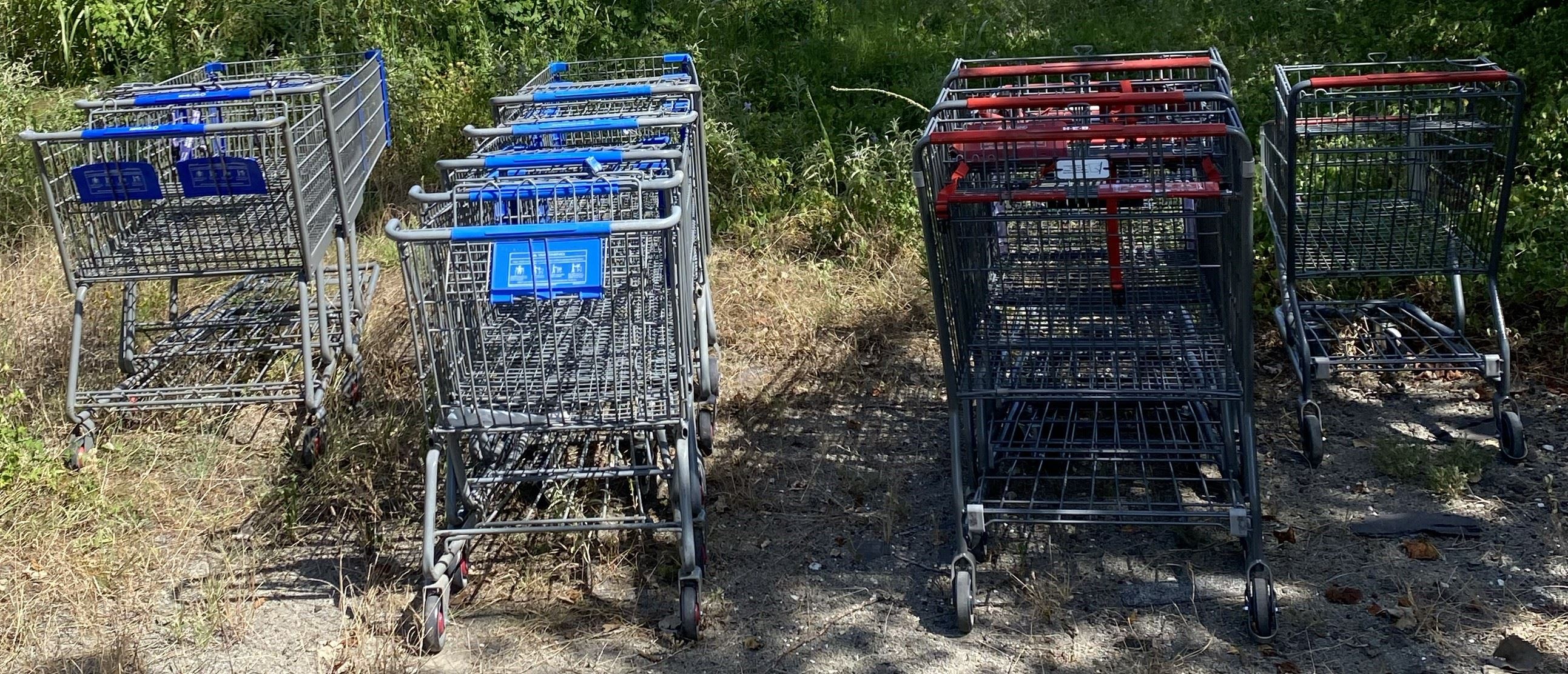 shopping carts