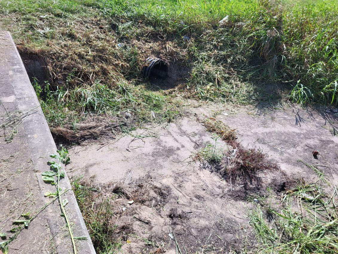 Yorktown Drainage Cleanup 3