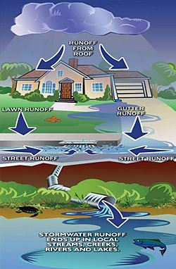 Storm Water Cycle